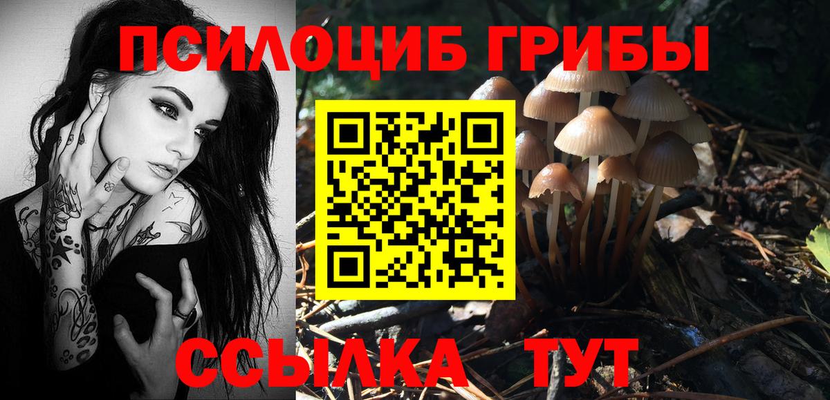 Псилоцибиновые грибы Magic Shrooms  Галлюциногенные грибы GOLDEN TEACHER  Вход с VPN  Ипатово 
